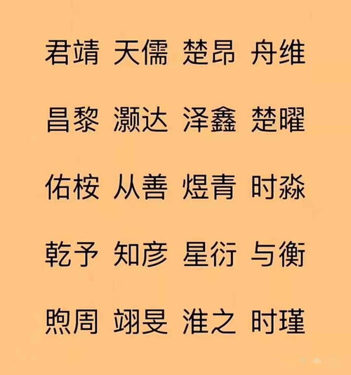 猪年男孩起什么名字好听