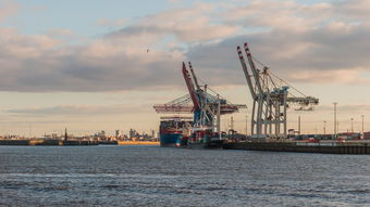 穿越时空的韵律——河南曲剧的魅力与珍藏全攻略