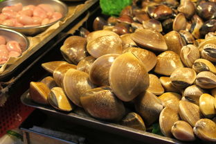 格兰仕电烤箱烹饪大揭秘，轻松掌握，美食不打烊