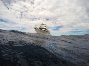探索财富之海的神秘之旅——富国海底世界门票深度解析