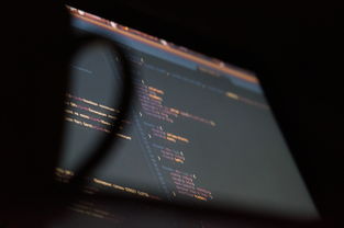 浙江舟山，万人大撤离，共筑防台风安全防线