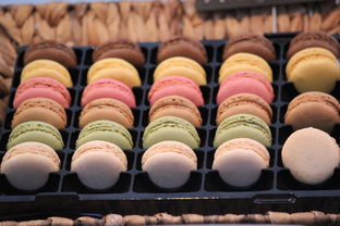 揭秘家庭烘焙，简单易学——全攻略教你自制美味饼干