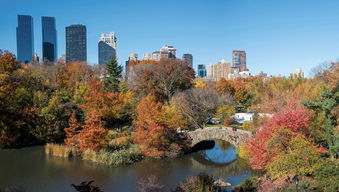 重庆与丽江，一场交织的南北方风情之旅——深度解析自由行攻略