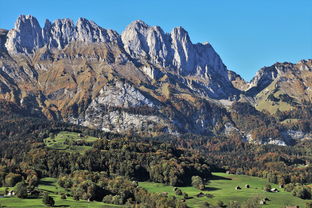 老太倾尽积蓄贷200万，只为圆靳东拍戏梦，一场跨越年龄与现实的追星奇缘