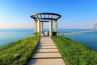 揭秘！家常制作全过程，轻松自制美味桂花茶，让你的茶桌增添芬芳