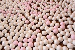 美食探秘，解锁最佳本地美食搜索应用，让你的味蕾不再迷路