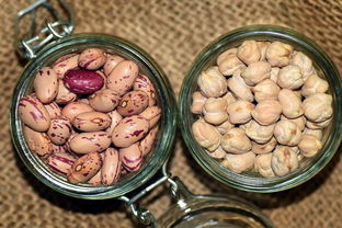 U20国足主帅，0-2失利后，我们觉醒了