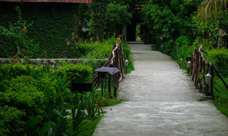 皮城女警凯特琳，正义的狙击手，英雄联盟中的守护者