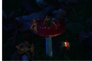 倩女幽魂OL藏宝阁，探索虚拟财富的宝库