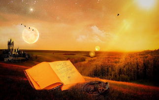 探索神秘之地，夜泊石的秘密所在