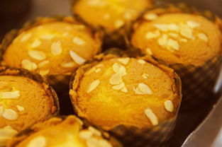 舌尖上的诗意，如何创作优美的美食文案