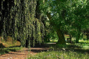 红螺寺景区旅游攻略：门票价格、最佳路线、交通方式全解析，轻松规划完美之旅