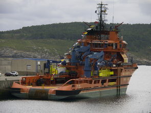 四川疫情新动态，新增本土确诊86例，防控措施与应对策略解析