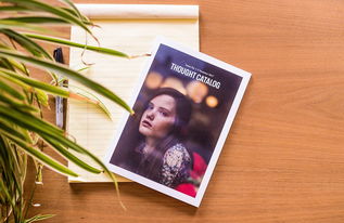 探索江西米粉的魅力，如何制作一张吸引人的海报