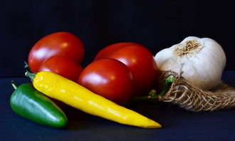 网游之混沌剑魔，虚拟世界的剑与魔法传奇