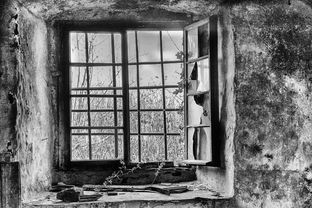 潘达斯奈基，互动式叙事的革命与未来