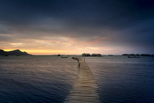 深圳疫情新动态，19例本土病例的警示与防控策略