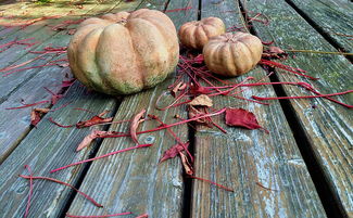 天津疫情新动态，42例本土阳性感染者背后的防控策略与个人防护指南