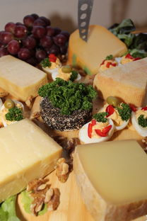 深度解析，如何高效使用今日头条官方网站进行自媒体创作与推广