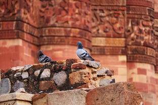 北京疫情新动态，夫妻双双感染，防疫措施不可松懈