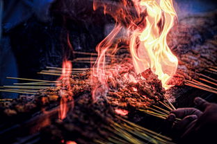 云之遥攻略，穿越云端的冒险之旅