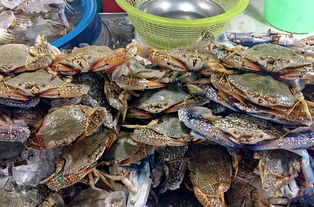 探索美食天堂，全球五大美食城市推荐理由