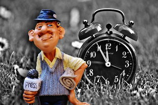 今日新闻头条，全球动态与本地焦点的深度解析