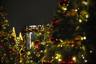 血魔的披风，揭开古代神秘力量的面纱