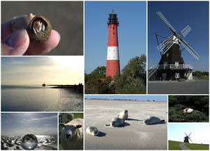 今日头条，信息海洋中的灯塔