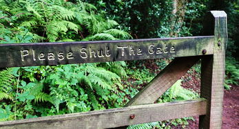 今日新闻速览，洞察世界动态，激发深刻思考