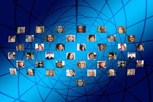 新闻头条与极速版，速度与深度的较量