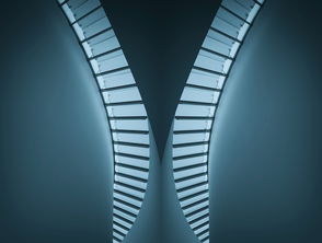 生存竞技场，如何在现代社会中保持竞争力