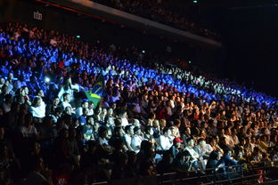 星光璀璨，揭秘娱乐资讯新闻报道的魅力与影响