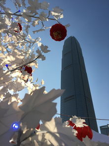 新西游记后传，现代视角下的古典奇幻之旅