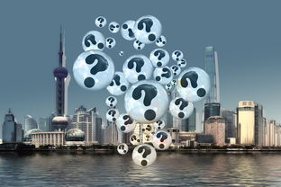 呼和浩特新闻网最新动态，城市发展、文化活动与未来展望