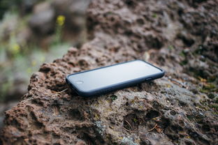 如何轻松下载并安装头条APP到您的手机上