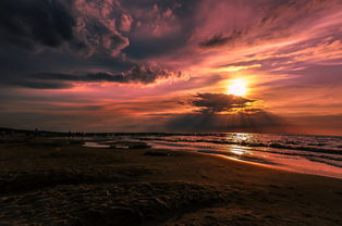 海南新闻头条，探索海南最新动态，把握发展脉搏