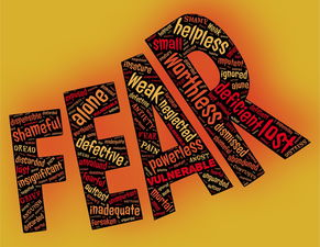 探索今日头条，免费下载与安装指南