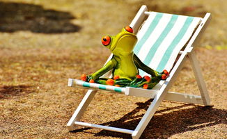 旅行青蛙乌龟的美味佳肴，揭秘它们的饮食偏好