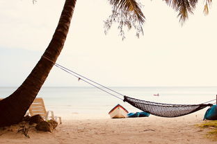 澳洲旅游报价全解析：轻松看懂行程价格差异，避开隐藏费用陷阱