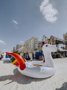 豪华海洋派对背后的秘密,探索亚龙湾游艇会的璀璨世界